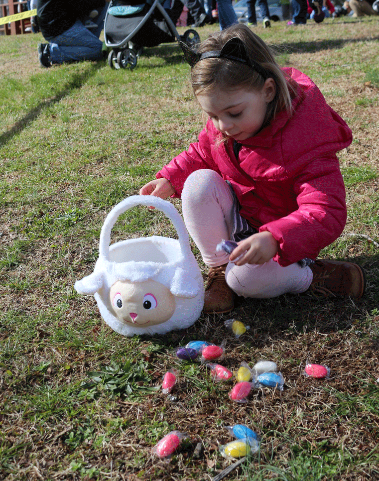 Easter Egg Hunt Young Girl Picking Up Eggs